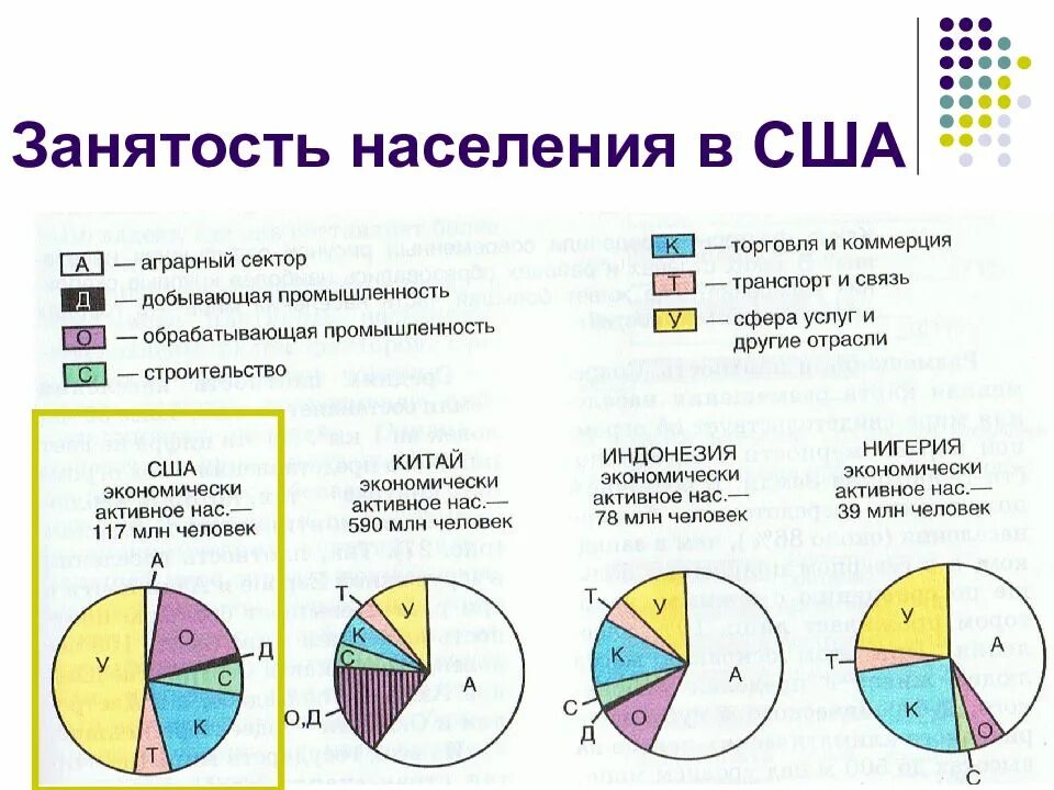 Структура занятости населения сша