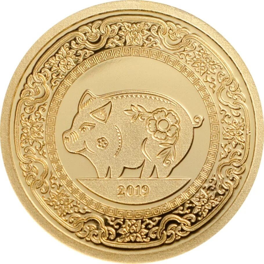 Золотая монета Лунар год свиньи. Монета свинья 2019. Монетка с изображением свиньи. Золотые монеты Монголии год свиньи. Свинья монеты