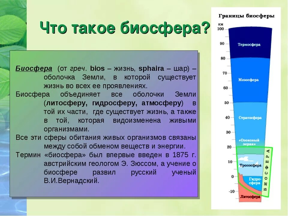 Состав биосферы 6 класс география. Биосфера. Биосвейл. Биосфера Живая оболочка земли. Границы биосферы 6 класс география.