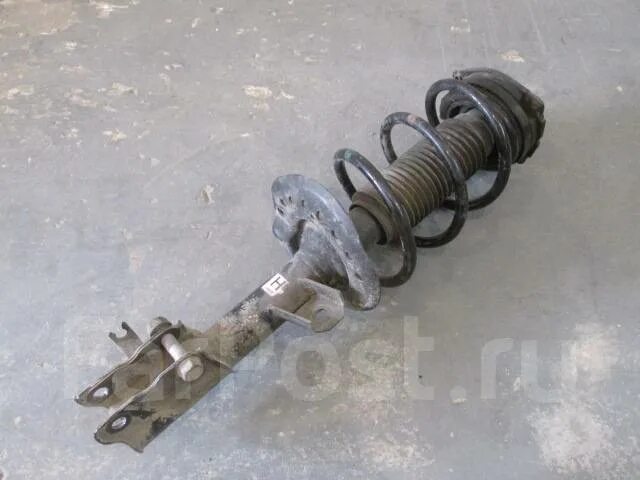 Амортизатор x trail t31. Амортизатор ниссан мурано z51. Ниссан эксперт 1999 пружина амортизатора передний. Амортизатор передний ниссан x-trail t31. Амортизатор переднийx-trail t31.