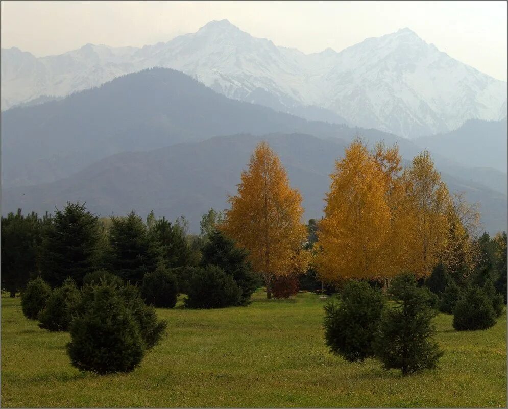 Предгорье Алатау Киргизия. Джунгарский Алатау. Алма-Ата природа предгорье. Горы Киргизии Алатау.