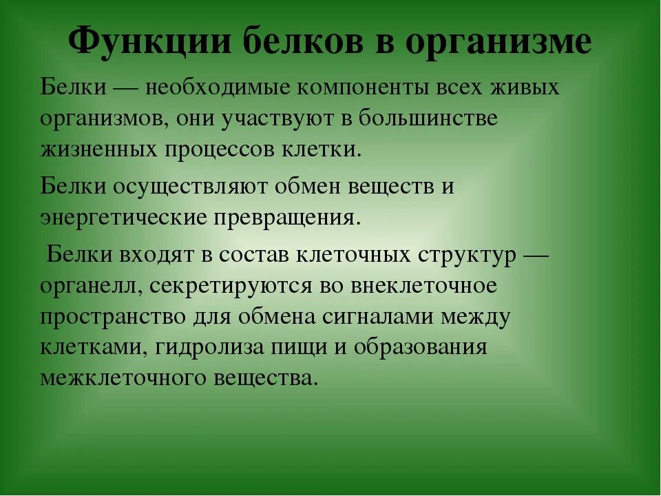 Каково значение в организме. Функции белков в организме. Функции белков в живом организме. Значение гуситского движения в Чехии. Роль белков в организме.