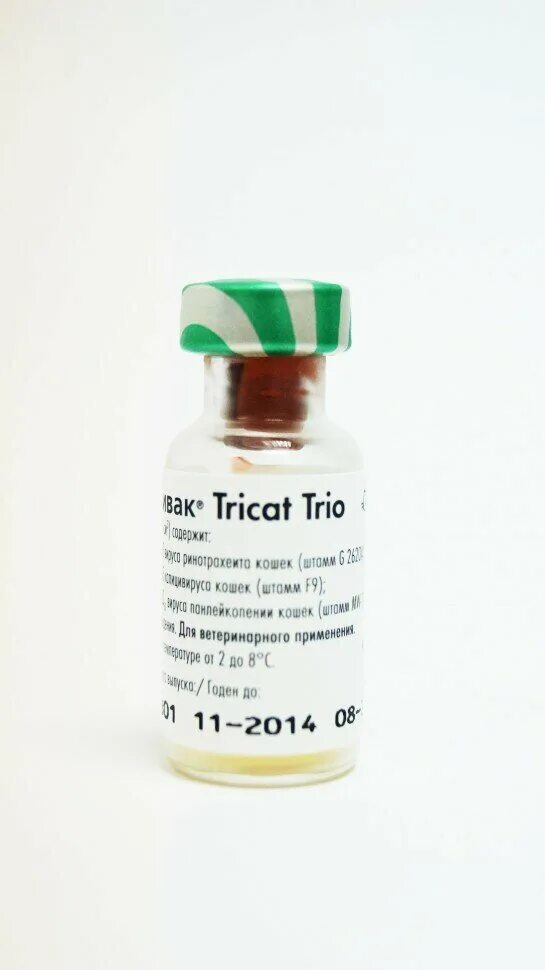 вакцина нобивак трикет трио для кошек. вакцина нобивак трикет трио. трикет трио для кошек. вакцина нобивак трикет. нобивак tricat trio.