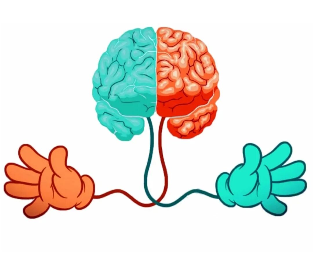 Картинки для нейроигр. Моторика рук и мозг. Связь мелкой моторики и мозга. Мозг ребенка. Гимнастика для мозга для детей.