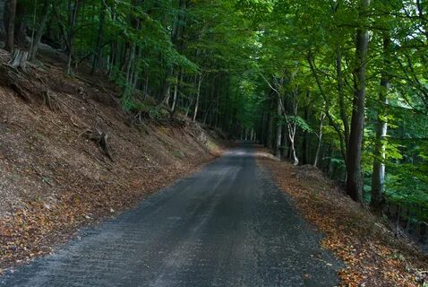 Road r