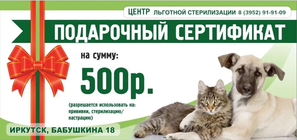 Льготная стерилизация животных. Акции в ветеринарных клиниках. Ветеринарная клиника баннер. Стерилизация животных. Акция на стерилизацию.