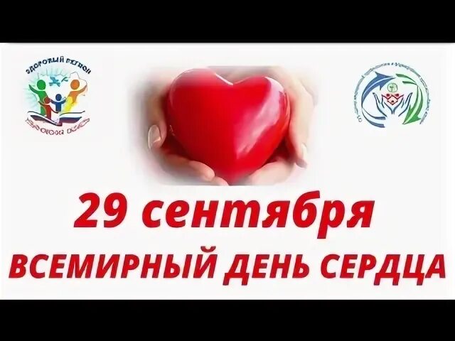 8 16 29 сентября