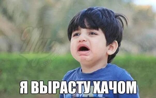С утра выпил день свободен. Утром выпил весь день свободен. Когда сходил в зал 1 раз. Мемы туда. Да прибудет с тобой сила мем.