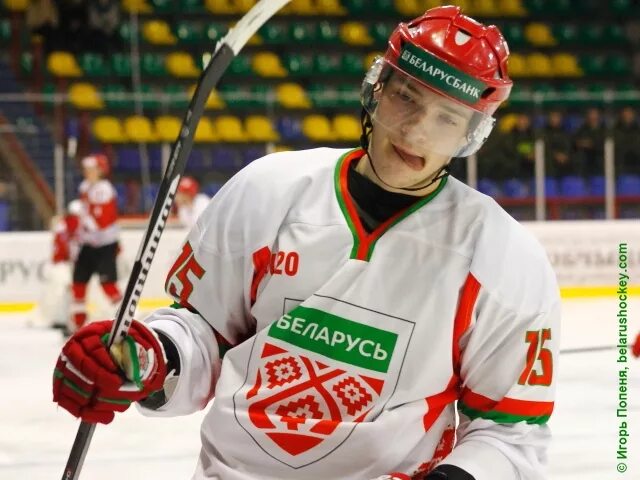 Воробей хоккеист. Хоккей фото. Воробьёв хоккеист ска. Белорусский чикчарык воробей хоккеист. Воробей хоккеист.