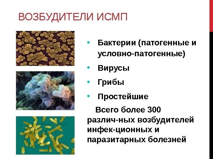 Патогенные микроорганизмы болезни. Возбудители ИСМП бактерии. Возбудители ИСМП таблица. Возбудители бактерии вирусы простейшие. Условно-патогенные микроорганизмы.