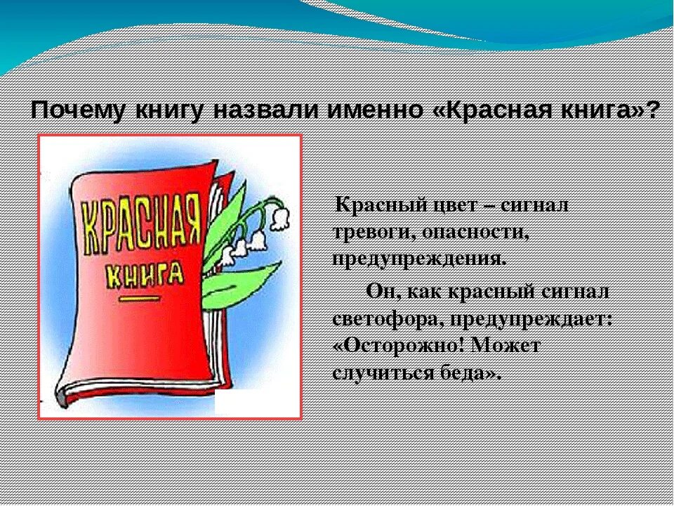 Почему именно так названа. Почему книгу назвали красной. Почему красная книга красная. Почему красную книгу назвали красной. Красная книга предисловие.