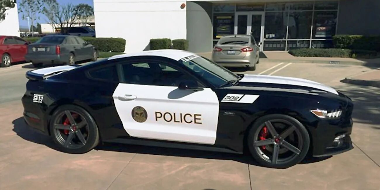 Форд мустанг 2021 полицейский. Форд мустанг американская полиция. Ford mustang police interceptor. Форд мустанг 911 полиция. Ford mustang 2015 police interceptor.