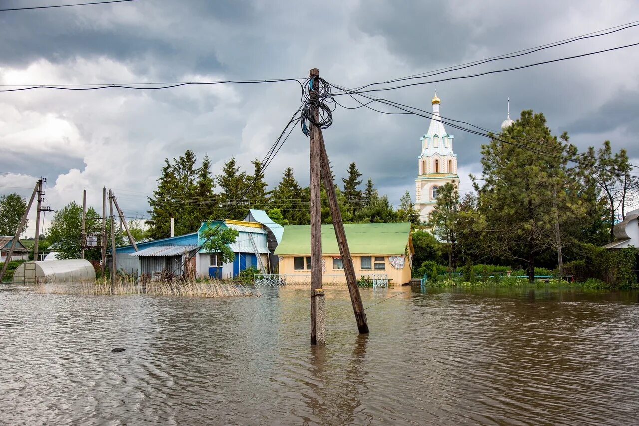 Подтопление земель. Наводнение в Красногорске. Локальные подтопления. Подтопление природной территории.