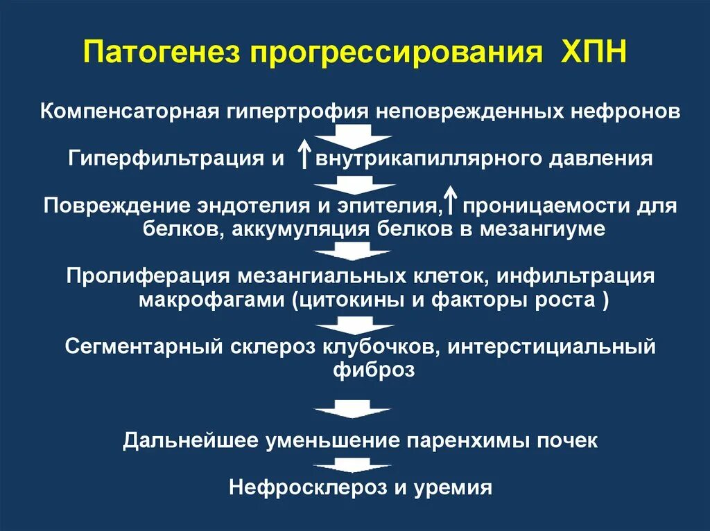 Исходы патогенеза. Хроническая почечная недостаточность патогенез. Хроническая болезнь почек патогенез. Полиурия при почечной недостаточности патогенез. Патогенез ХПН патофизиология.