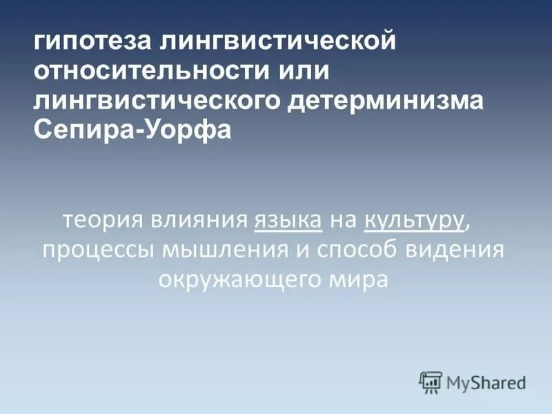 языковая теория и языковая практика