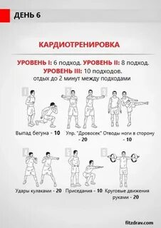 Программы для кардио тренировки в зале