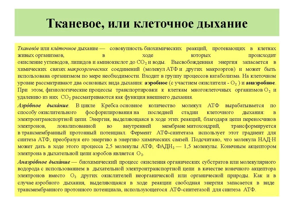 Дыхание происходит во всех живых клетках. Клеточное или тканевое дыхание. Тканевое (внутриклеточное) дыхание. Как происходит тканевое дыхание.