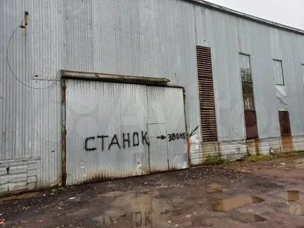 Зеленоград 687