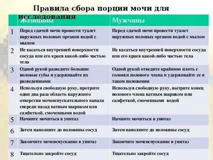 Как сдать анализ мочи утром