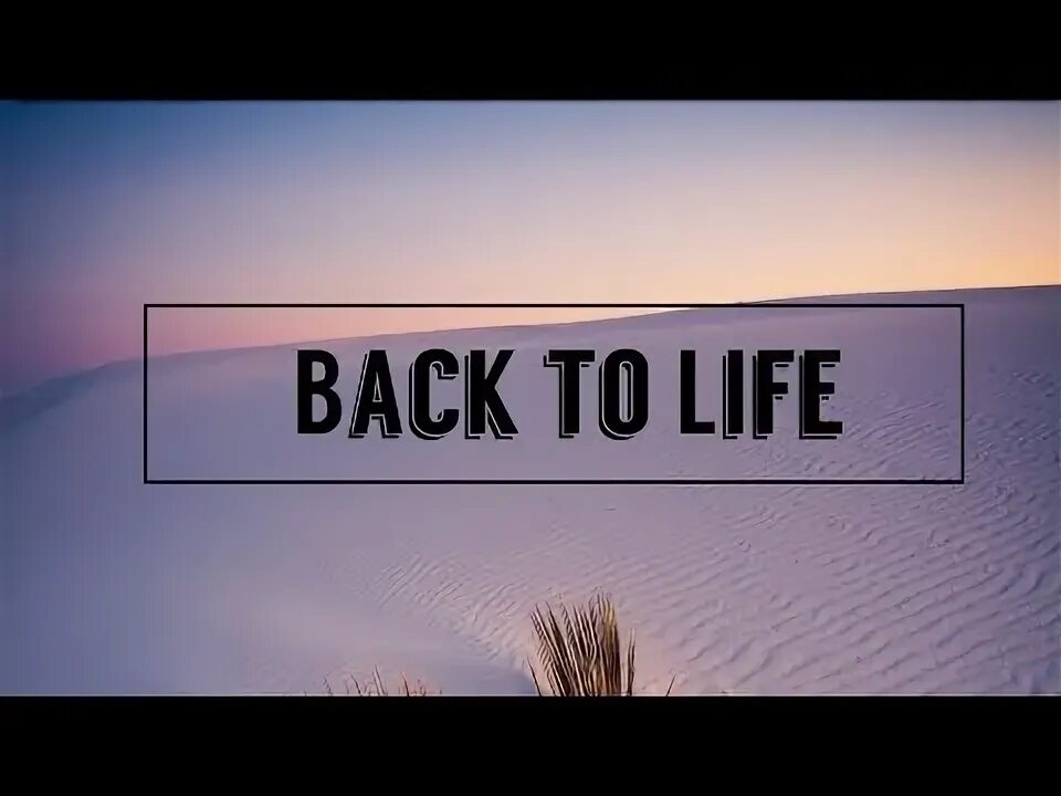 Come back to life. Back to Life. Back to Life песня. Hailee Steinfeld back to Life.