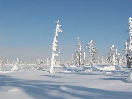 Сайт сахи якутии