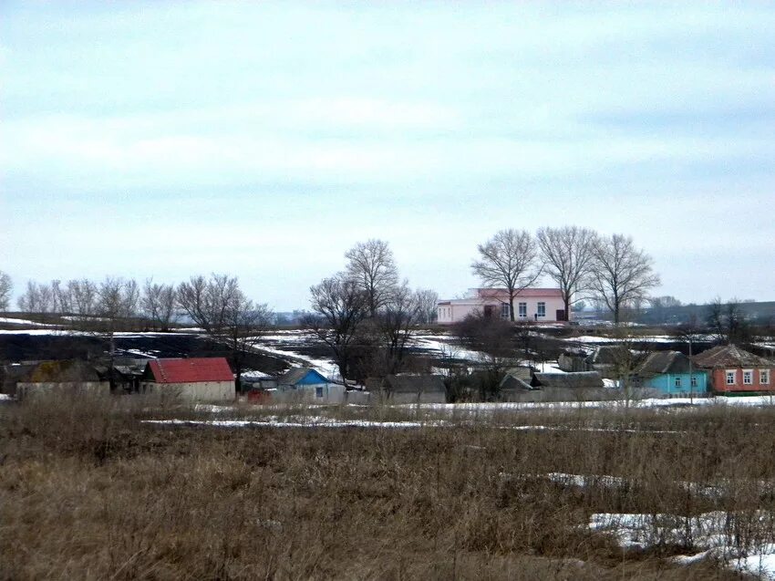 Село Карташевка Прохоровского района. Прохоровский район село Петровка. Село Береговое Прохоровского района Белгородской области. Лучки Прохоровский район.