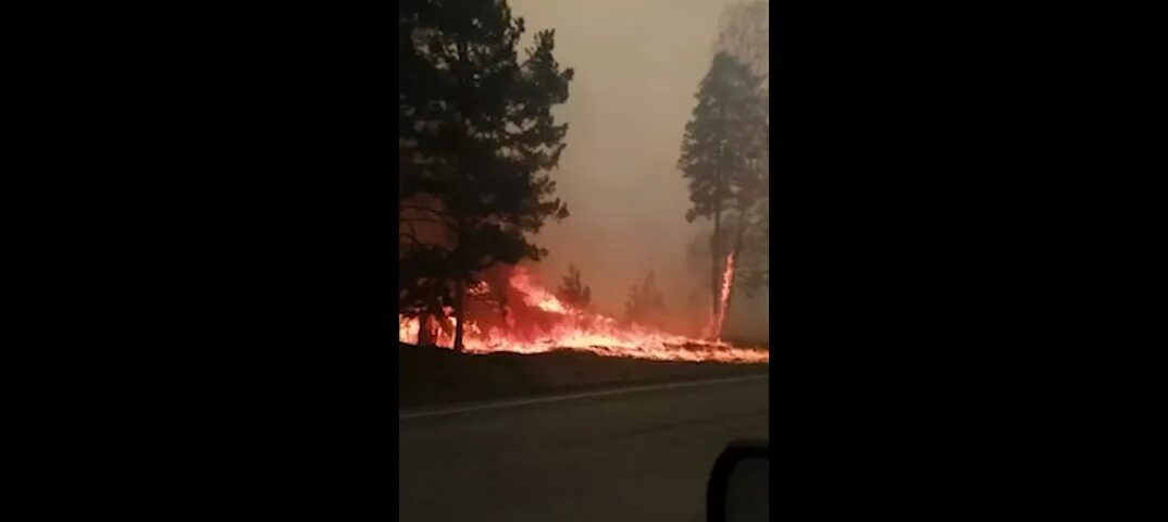 Что горит в березовском. Что горит в березовском