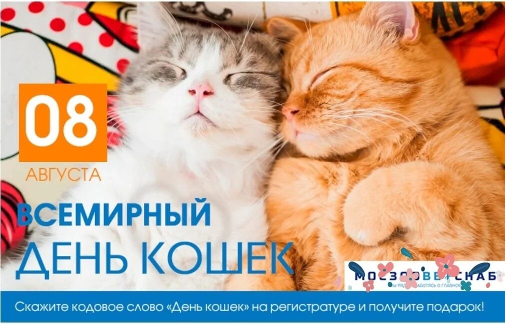 Беседа день кошек. Всемирный день кошек. Всемирный день кота. Международный день кошек 8 августа. Всемирный день кошек открытки.