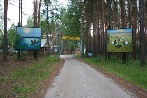 Мещера клепики. Мещера рязанская область клепиковский район. лагерь мещера рязанская область клепиковский район. лагерь мещера. мещера полушкино клепиковский.