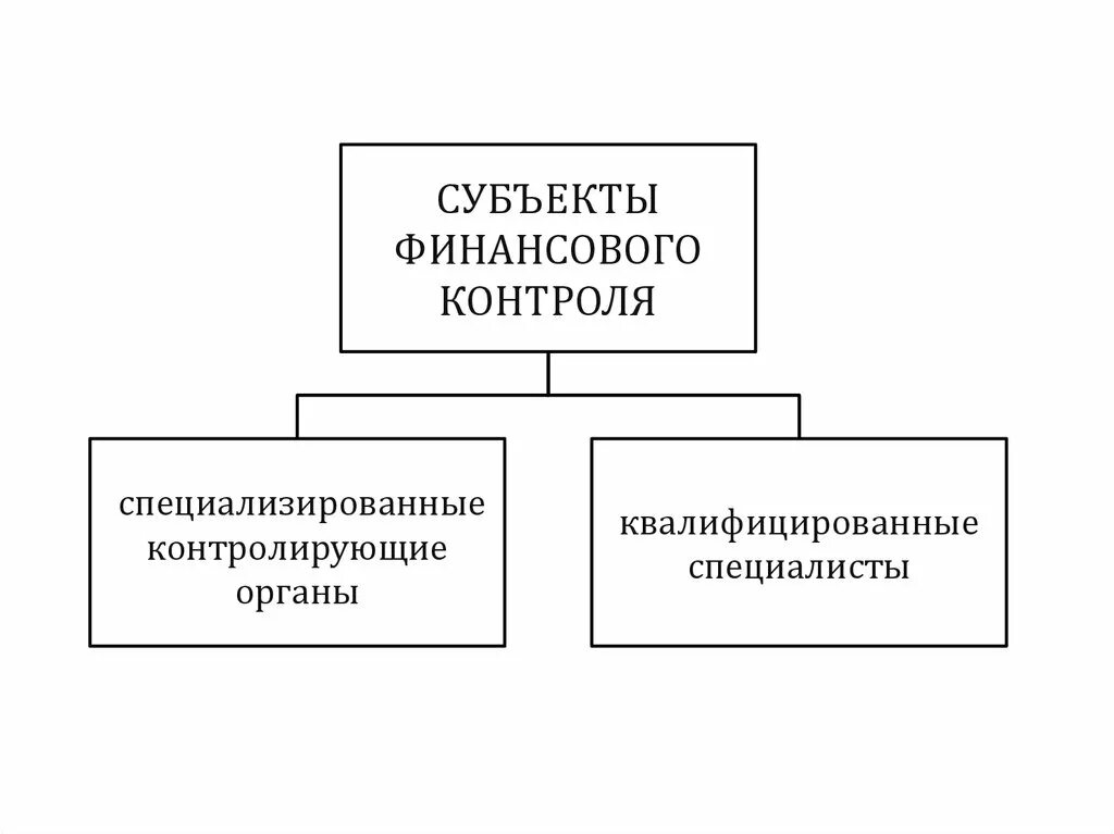 Хозяйствующие субъекты финансового контроля. Субъекты и объекты финансового контроля схема. Субъекты финансового контроля. Специализированные органы финансового контроля. Субъекты государственного финансового контроля.