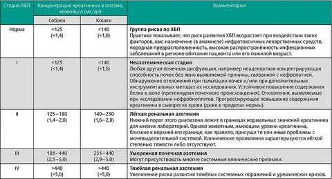Почечная недостаточность у собак лечение