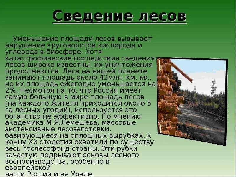 Сведение грозить. Последствия сведения лесов. Проблема сведения лесов. Экологические проблемы леса. Сведение лесов.