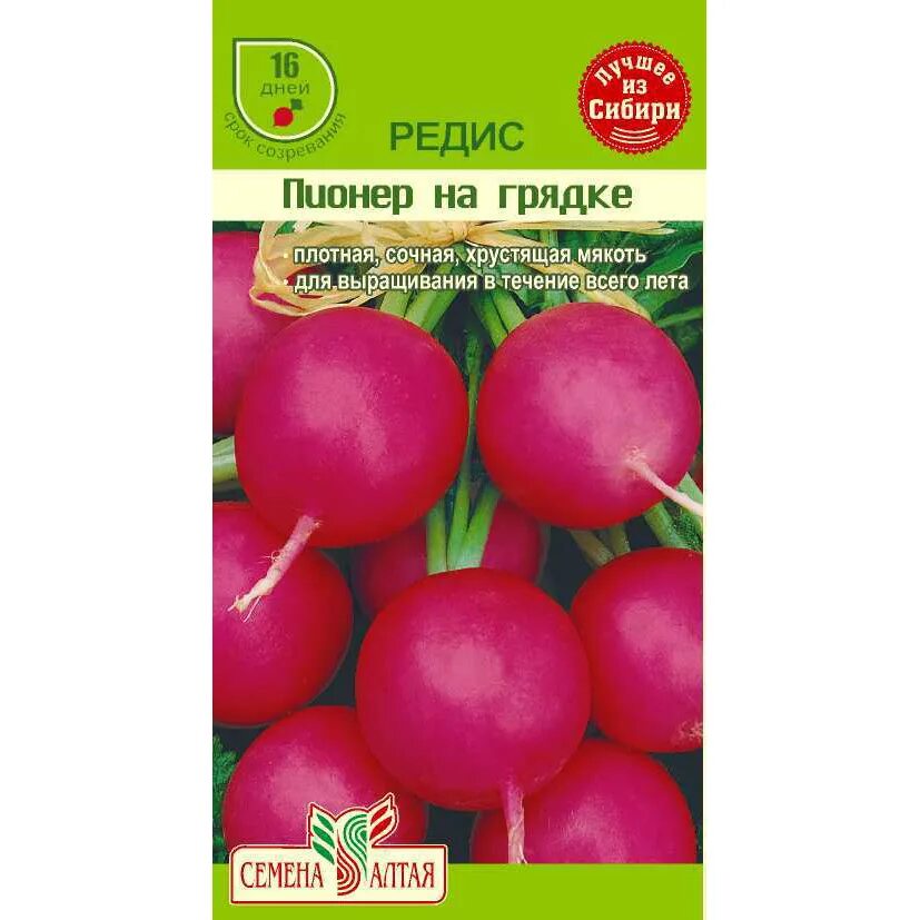 Редис семена. Редис французский завтрак семена алтая. Редис краса алтая семена алтая. Семена алтая редис. Редис французский завтрак семена.