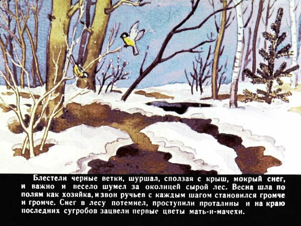 Паустовский сверкающими. Паустовский детям стальное колечко. Диафильм стальное колечко. Иллюстрации к стальному колечку Паустовского. Иллюстрация к рассказу стальное колечко.