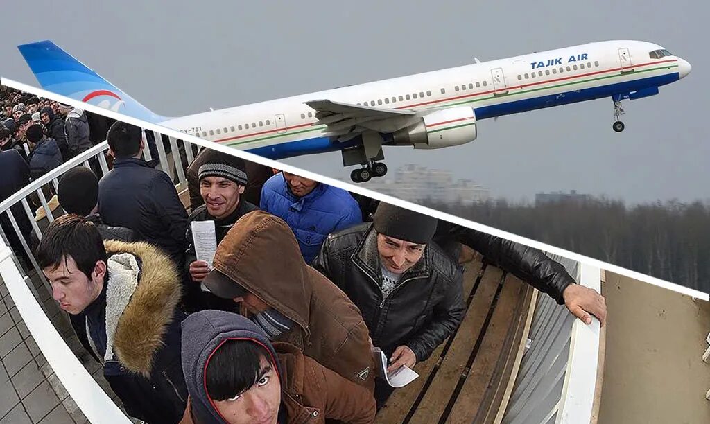 Таджиков депортируют из москвы. Авиакомпания Tajik Air. Самолет сомон Эйр Москва Душанбе. Самолет Душанбе Москва. Мигранты в самолете.