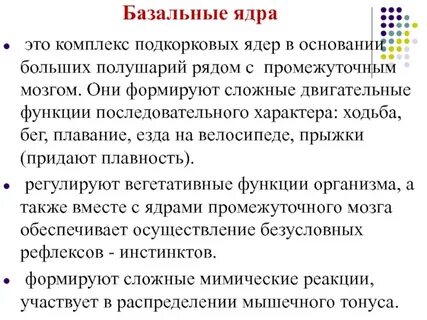 Малое и большое ядра есть у