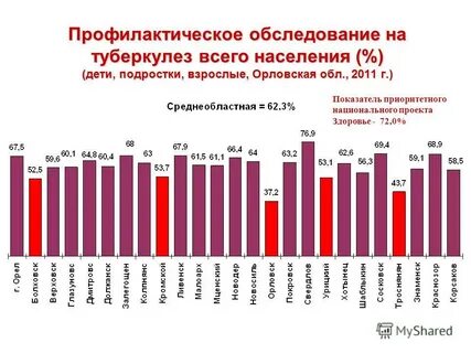 Показатель приоритетного проекта