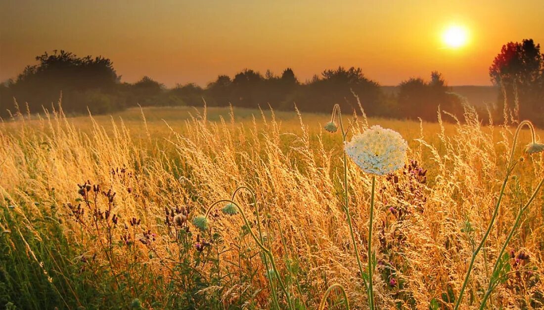 Август природа. Летний закат. Конец лета как проверить лета. Конец лета как проверить лета. Конец лета как проверить лета.