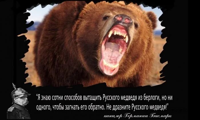 Русский медведь. Разбудили русского медведя. Русский медведь проснулся. Не будите русского медведя. Вытащили медведя из берлоги