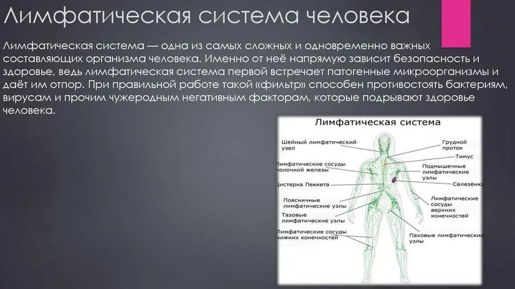 Лечение пахового лимфоузла