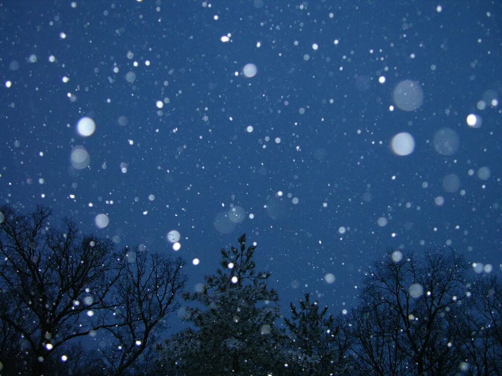 Падающий снег. Хлопья снега. Снег идет. Зимнее ночное небо. Падали крупные хлопья снега