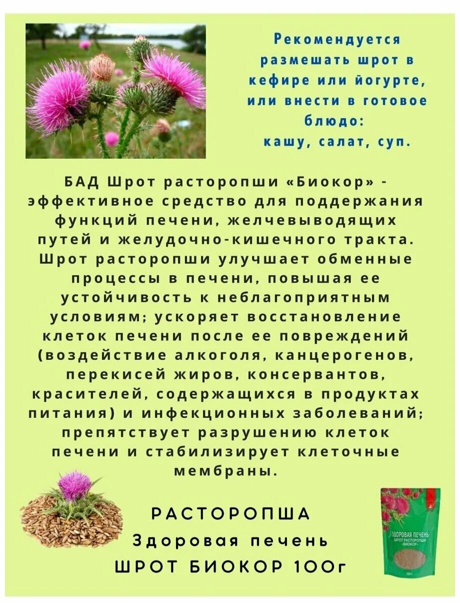 Расторопша шрот применение польза и вред. Расторопша здоровая печень Биокор. Шрот расторопши порошок. Шрот расторопши Биокор 100 г. Здоровая печень шрот расторопши Биокор.