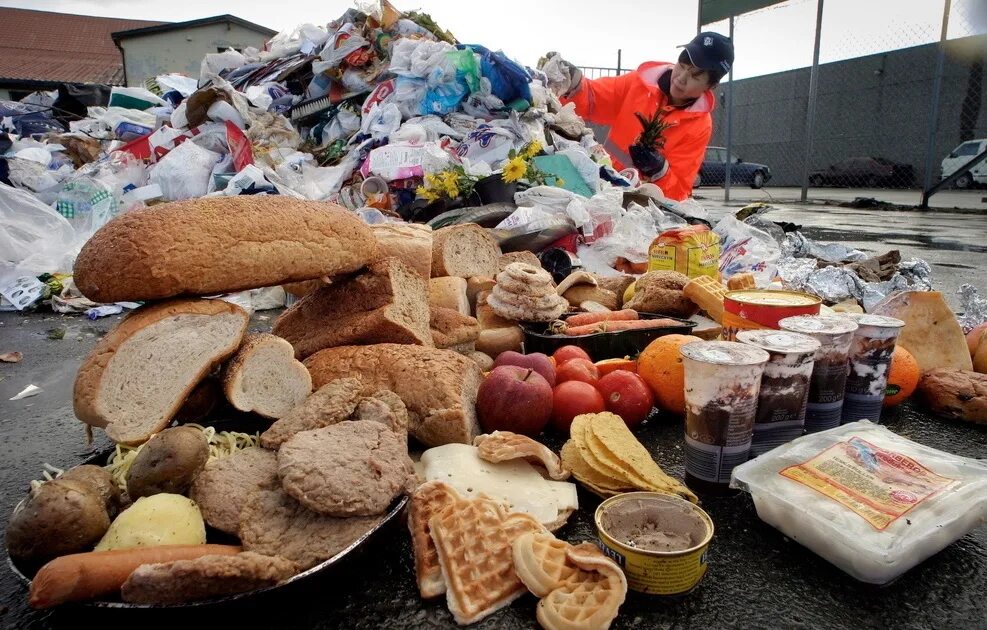 Съестные продукты. Продукты на помойке. Свалка еды. Продукты на свалке. Выброшенные продукты.