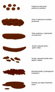 Светло коричневый цвет кала у взрослого