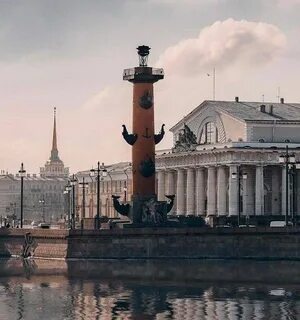 Стрелки петербурга