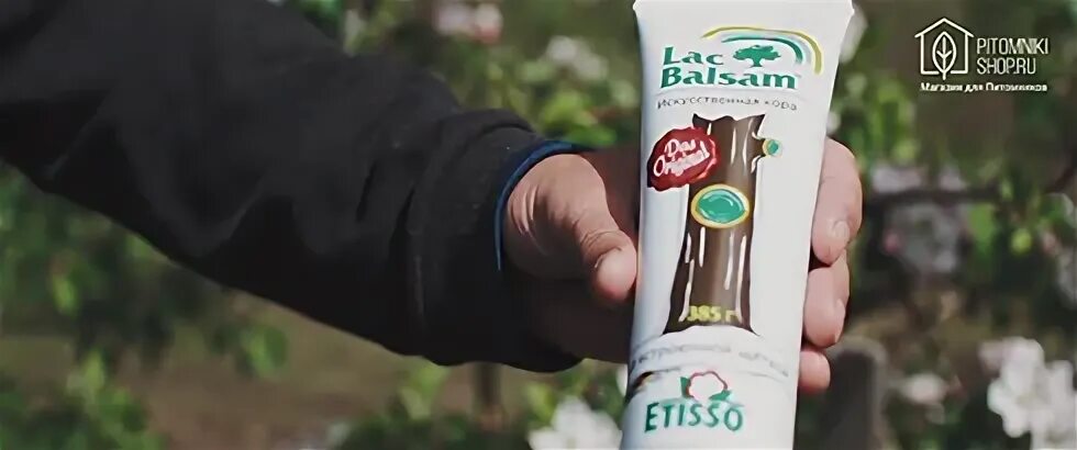 Etisso lac