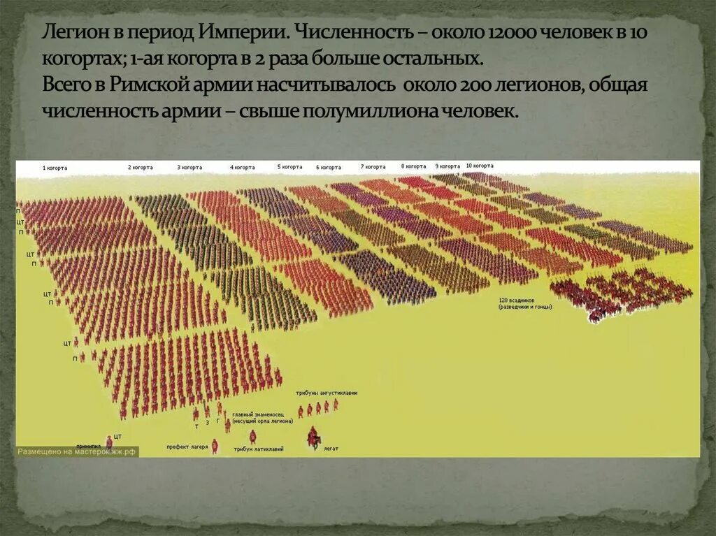 Состав когорты римской армии. Структура легиона римской армии Империя. Римский Легион Центурия. Схема построения Римского легиона.