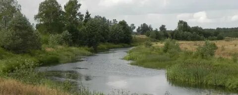 Красногорское ивановская область
