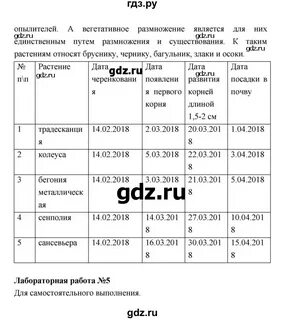 Лабораторная работа 2 по биологии 6