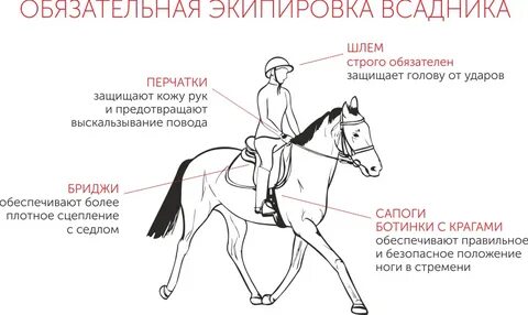 Держи коня за узду чтоб